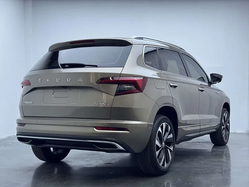 Skoda Karoq — фото 15