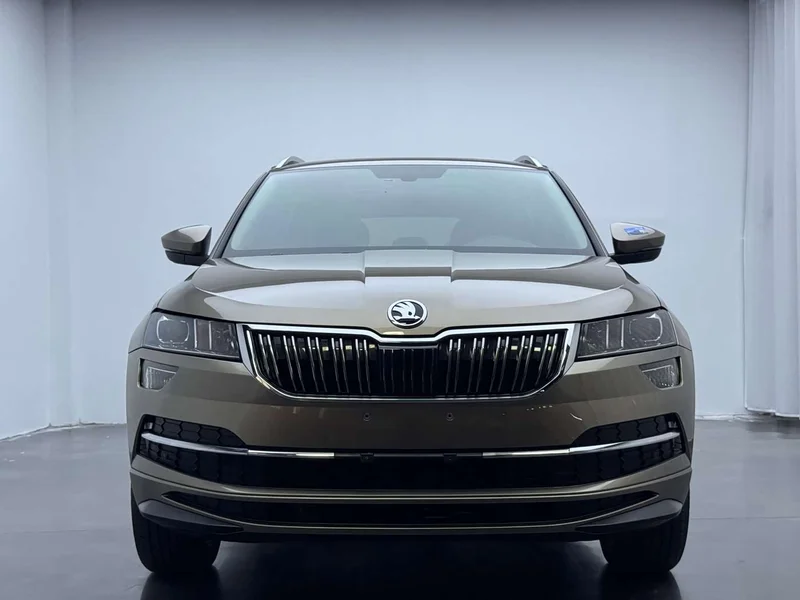 Skoda Karoq — фото 4
