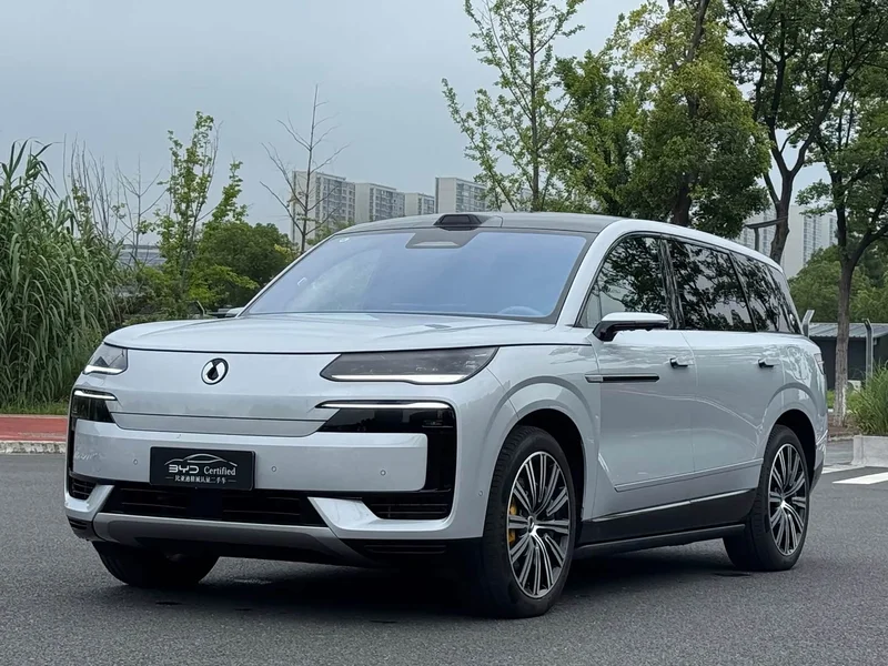 Denza N9