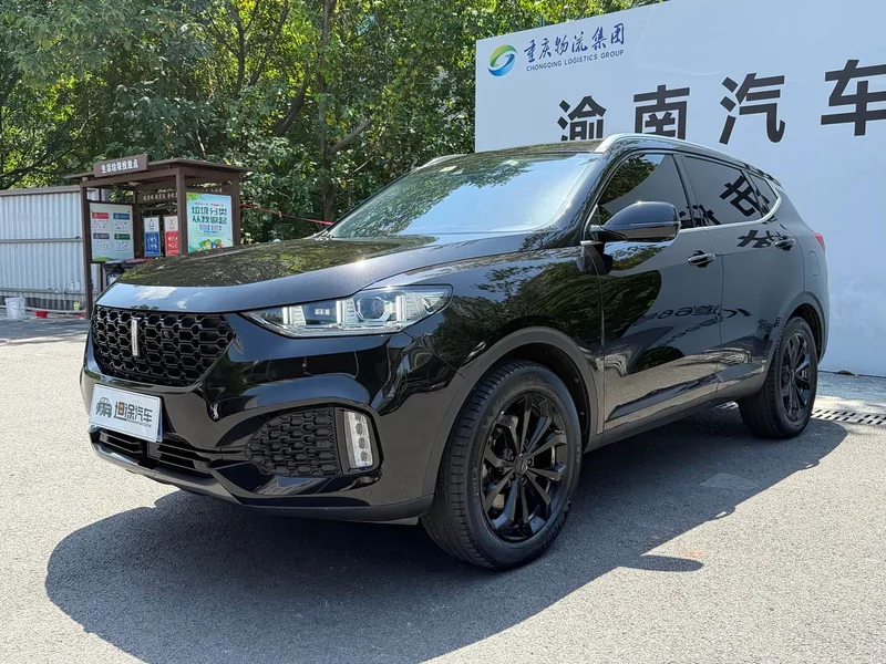 Wey VV6