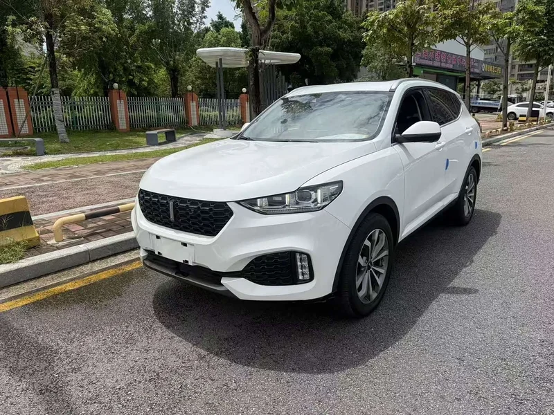 Wey VV6