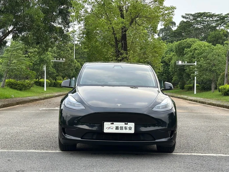 Tesla Model Y — фото 2