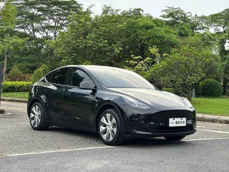 Tesla Model Y — фото 3