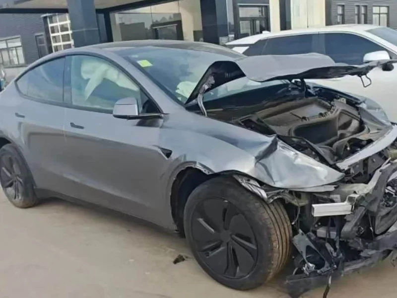 Tesla Model Y — фото 11