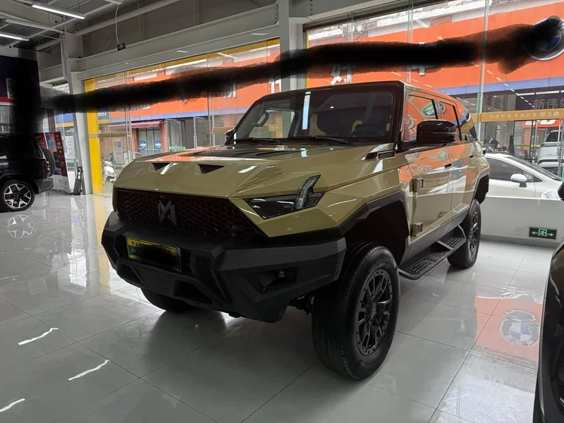 Mengshi 917