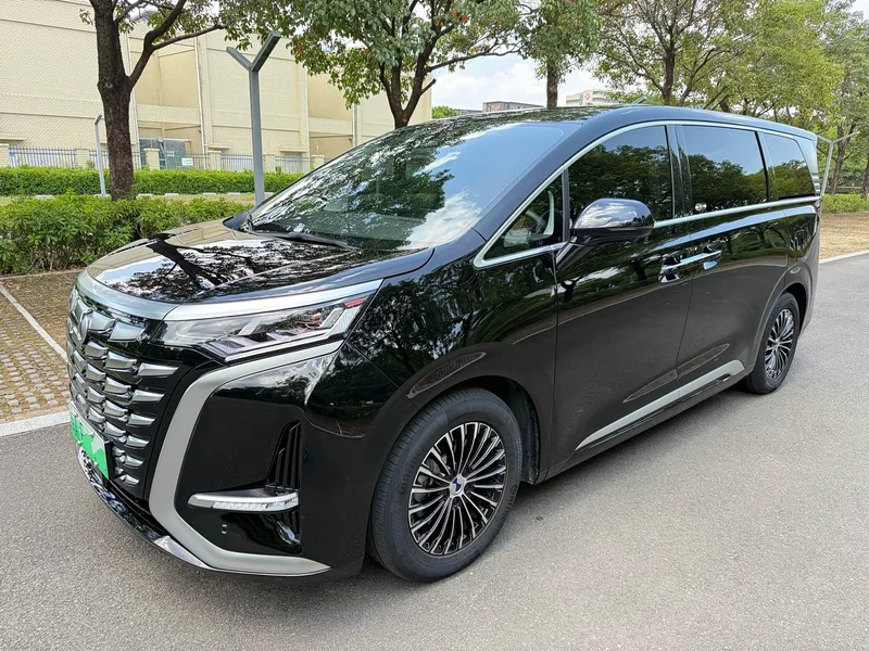 Denza D9