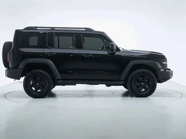 Tank 300