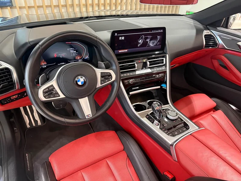 BMW 8-Series — фото 10