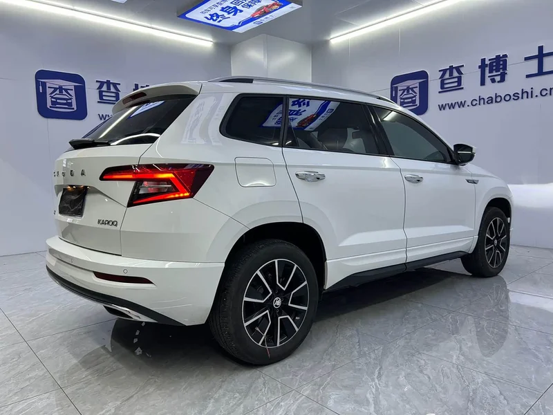 Skoda Karoq — фото 17