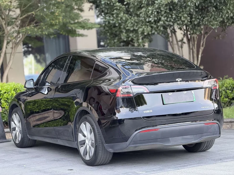 Tesla Model Y — фото 10