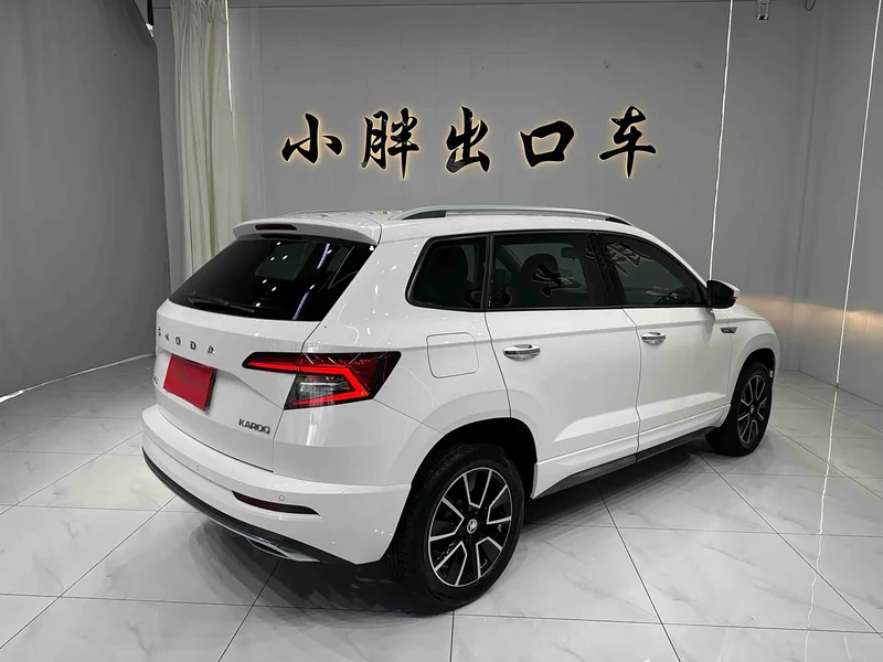 Skoda Karoq — фото 4