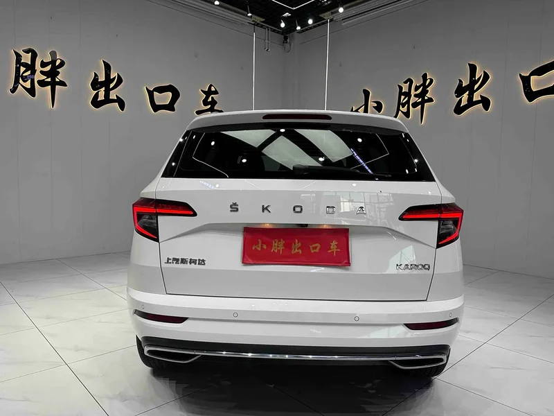 Skoda Karoq — фото 5