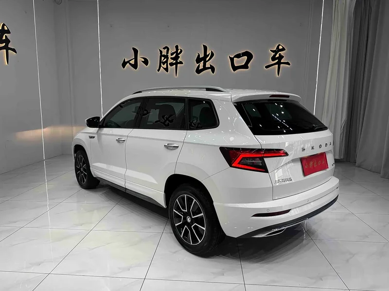 Skoda Karoq — фото 6
