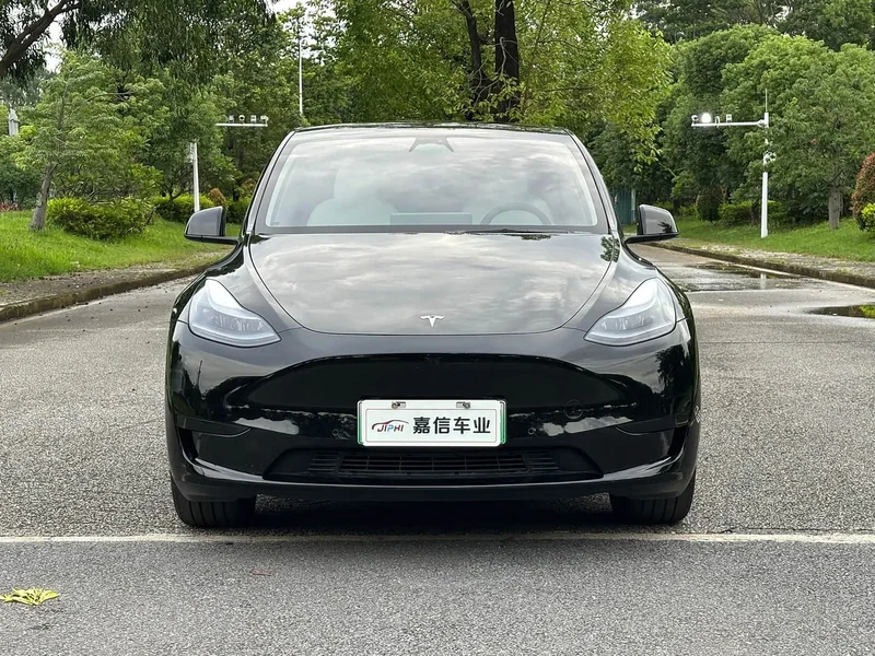 Tesla Model Y — фото 1