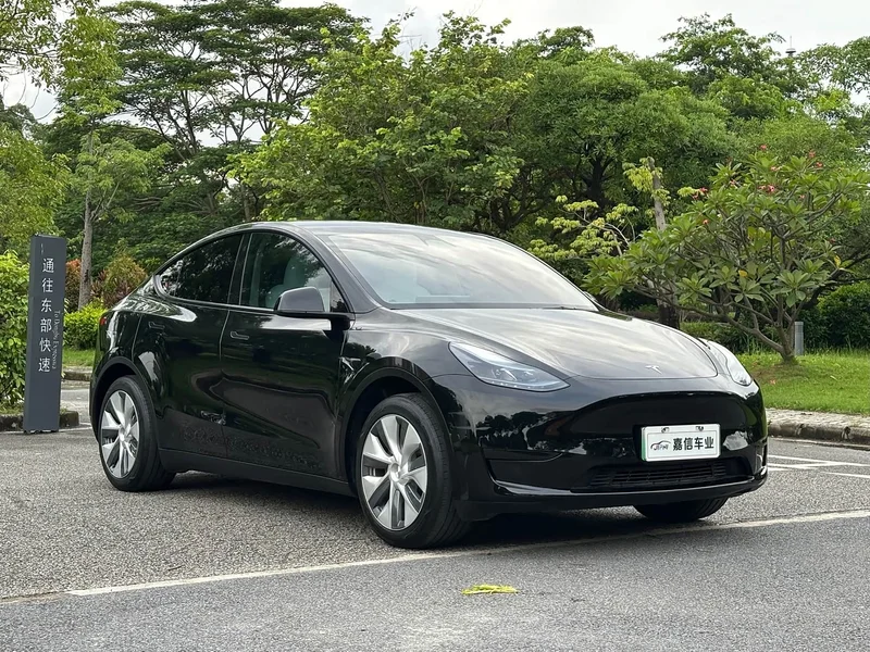 Tesla Model Y — фото 2