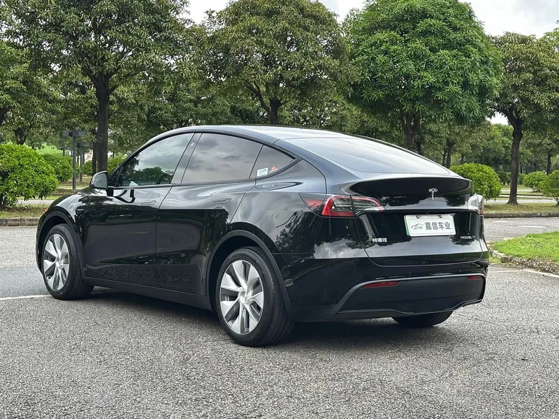Tesla Model Y — фото 5