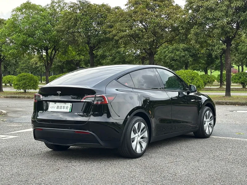 Tesla Model Y — фото 6