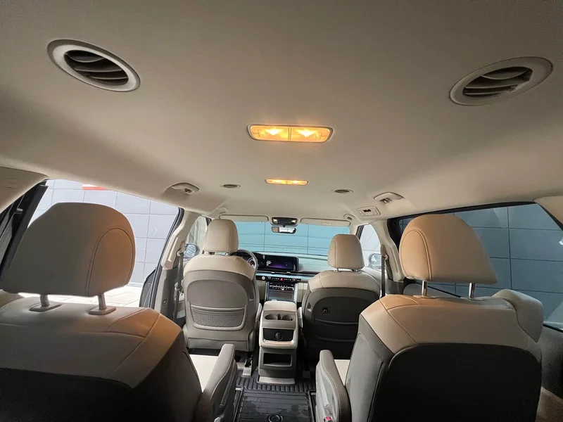 Kia Carnival — фото 13
