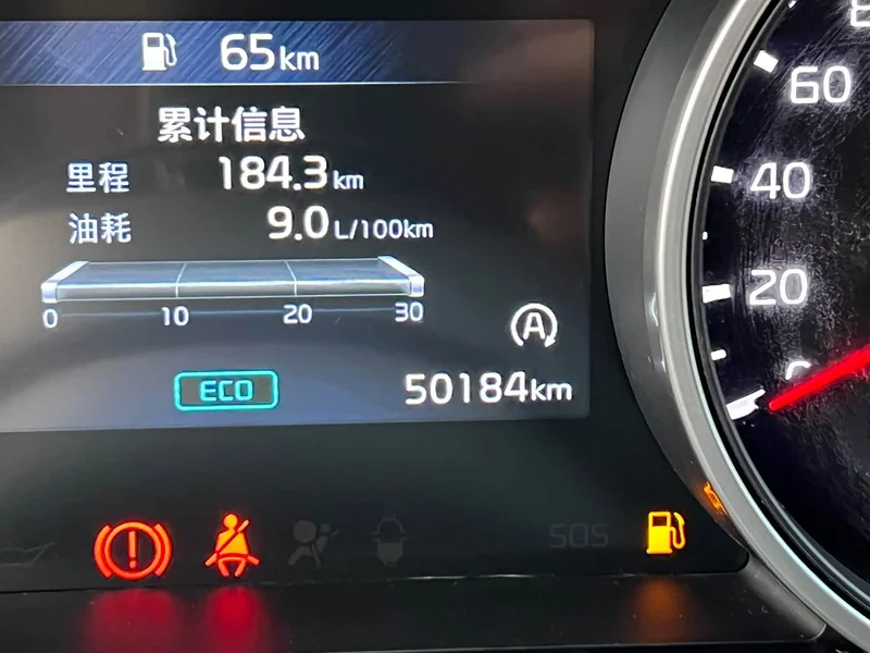 Kia Carnival — фото 20