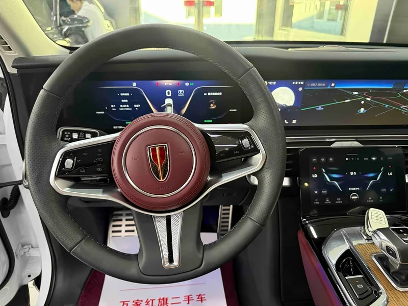 Hongqi E-HS9 — фото 12