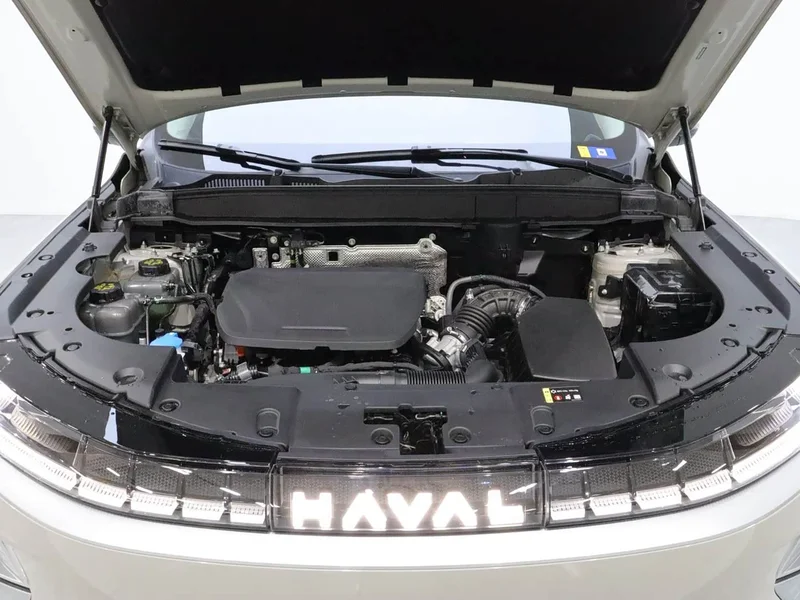 Haval Xiaolong MAX — фото 21