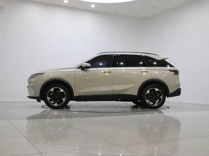 Haval Xiaolong MAX — фото 8