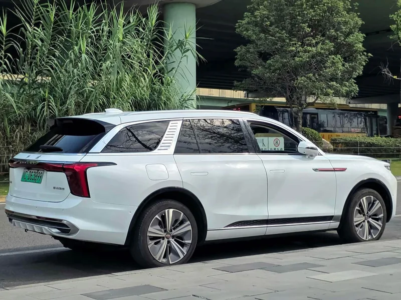 Hongqi E-HS9 — фото 5