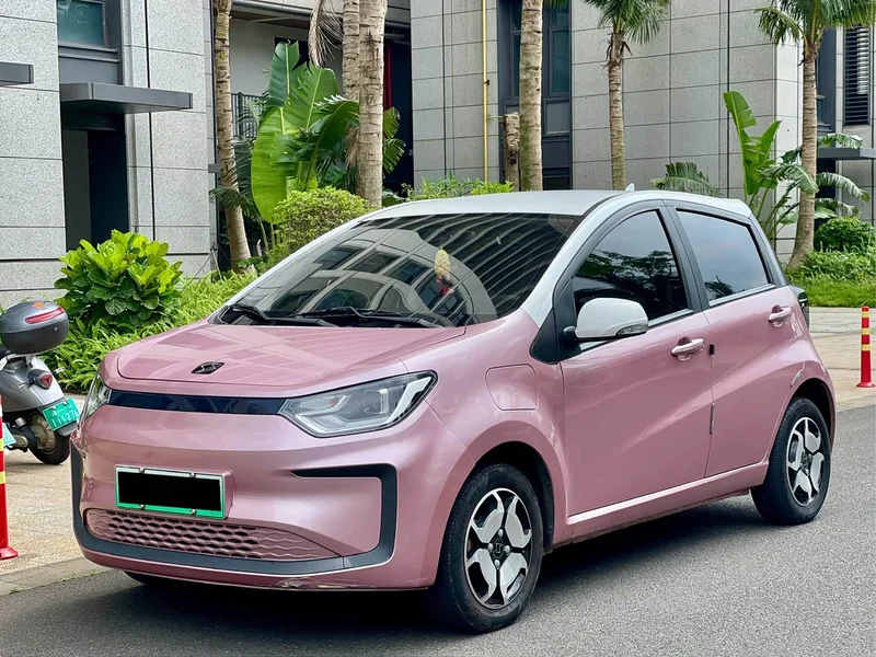 Baojun Flower Fairy — фото 1