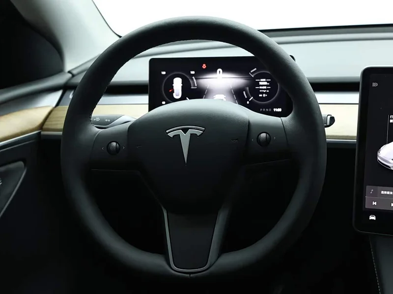 Tesla Model Y — фото 16