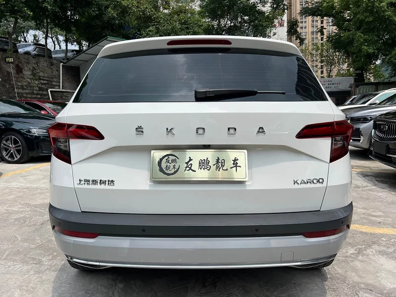 Skoda Karoq — фото 19
