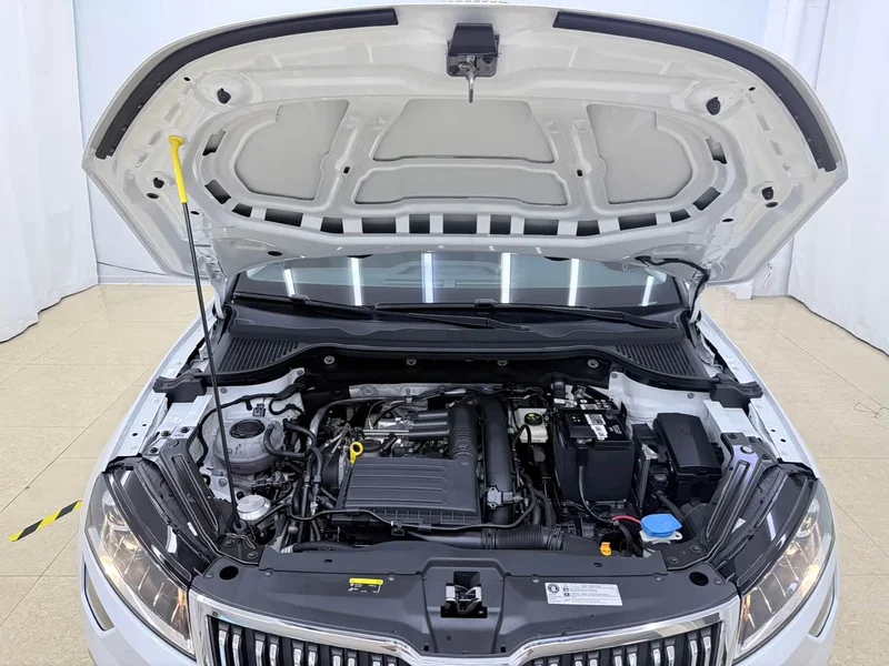 Skoda Karoq — фото 19