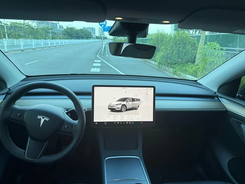 Tesla Model Y — фото 14