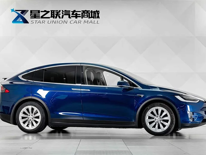 Tesla Model X — фото 5