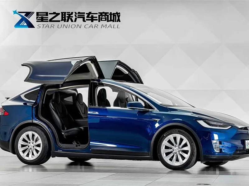 Tesla Model X — фото 6