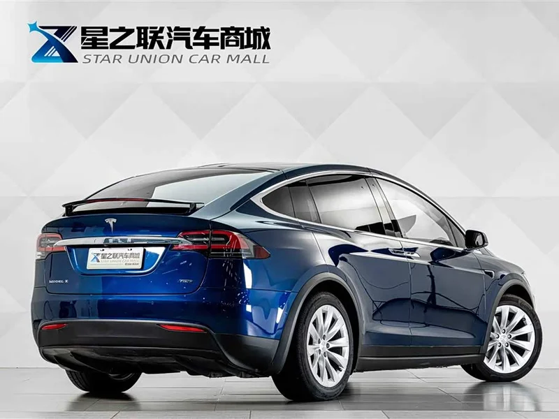 Tesla Model X — фото 7