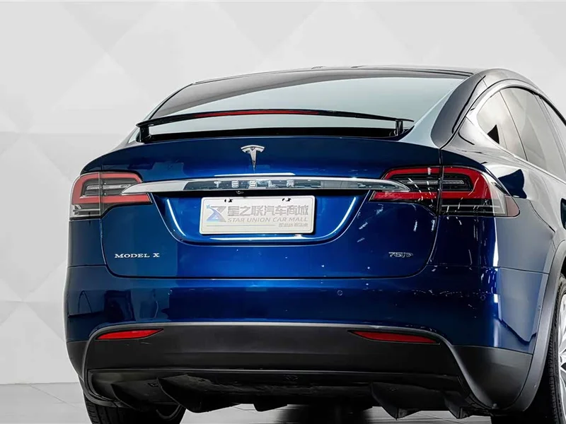 Tesla Model X — фото 8