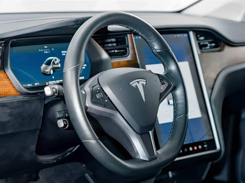 Tesla Model X — фото 10