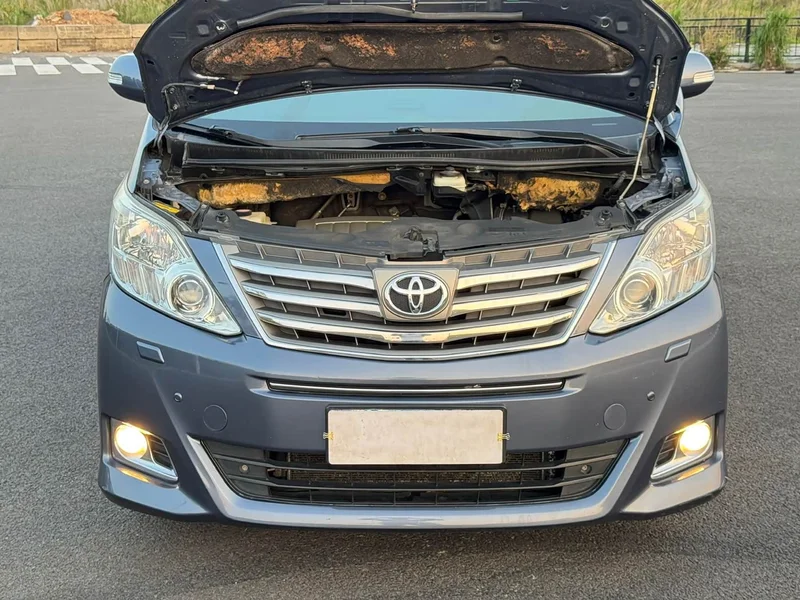 Toyota Alphard — фото 25