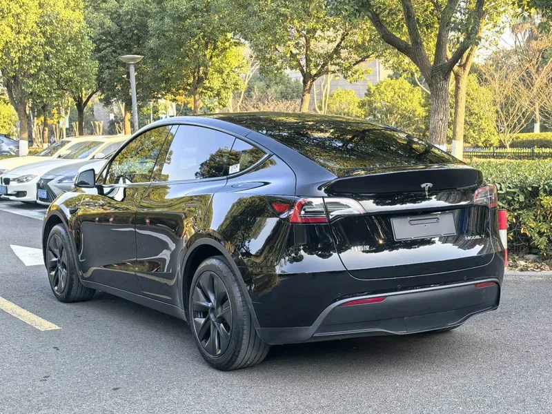 Tesla Model Y — фото 17