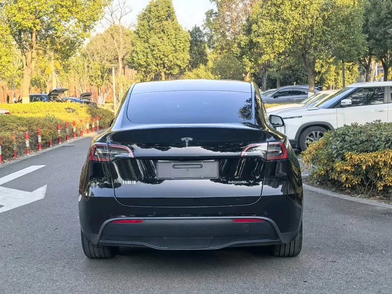 Tesla Model Y — фото 18