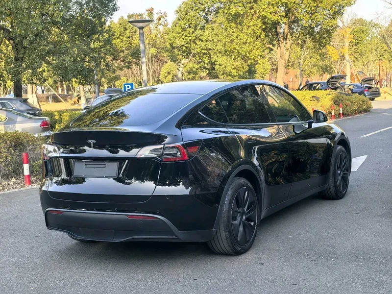 Tesla Model Y — фото 19