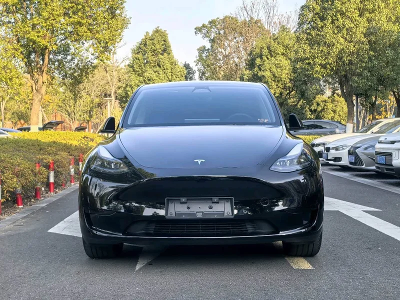 Tesla Model Y — фото 2