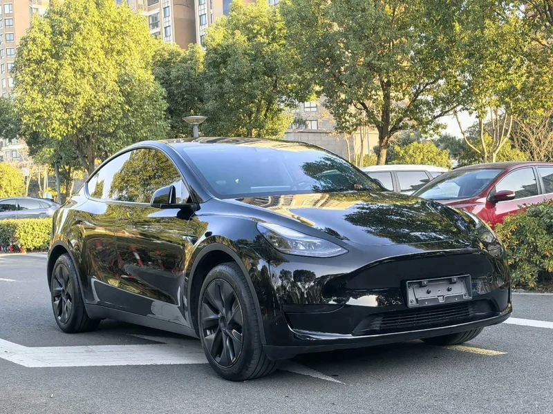 Tesla Model Y — фото 3