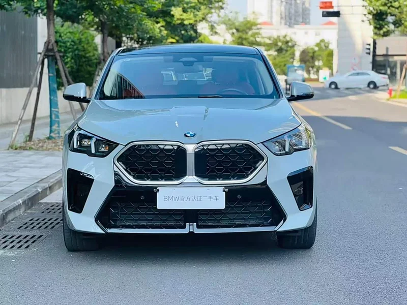 BMW X2 — фото 1