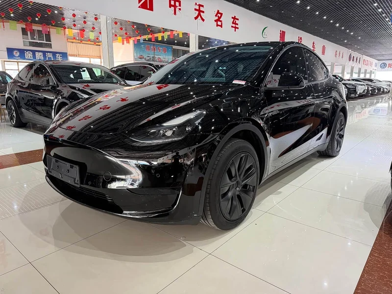 Tesla Model Y — фото 1