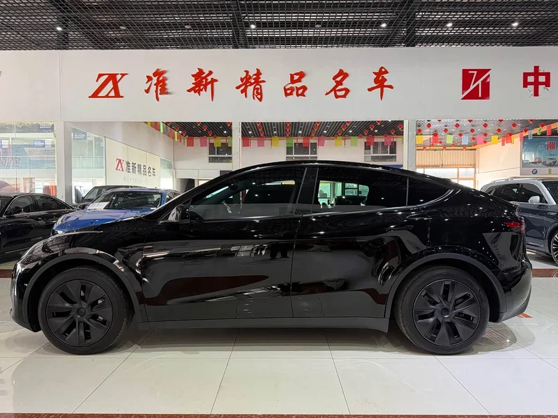 Tesla Model Y — фото 14