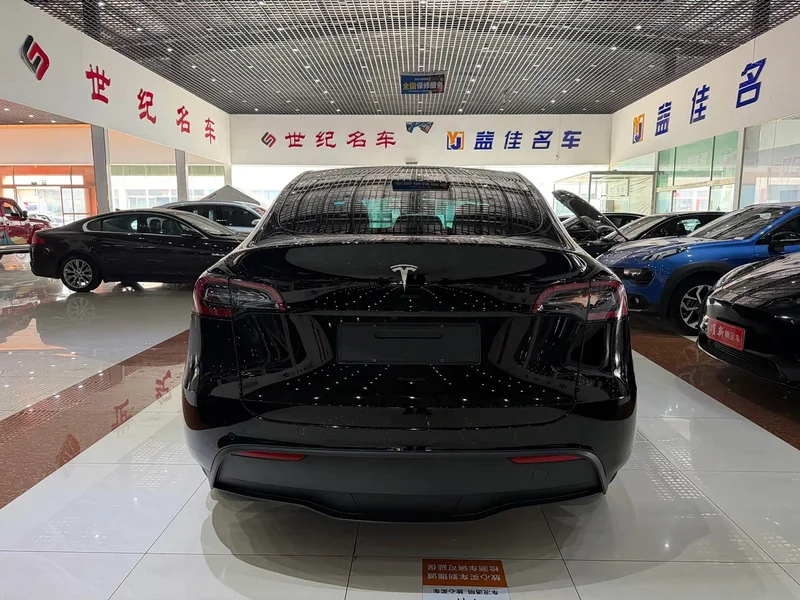 Tesla Model Y — фото 16