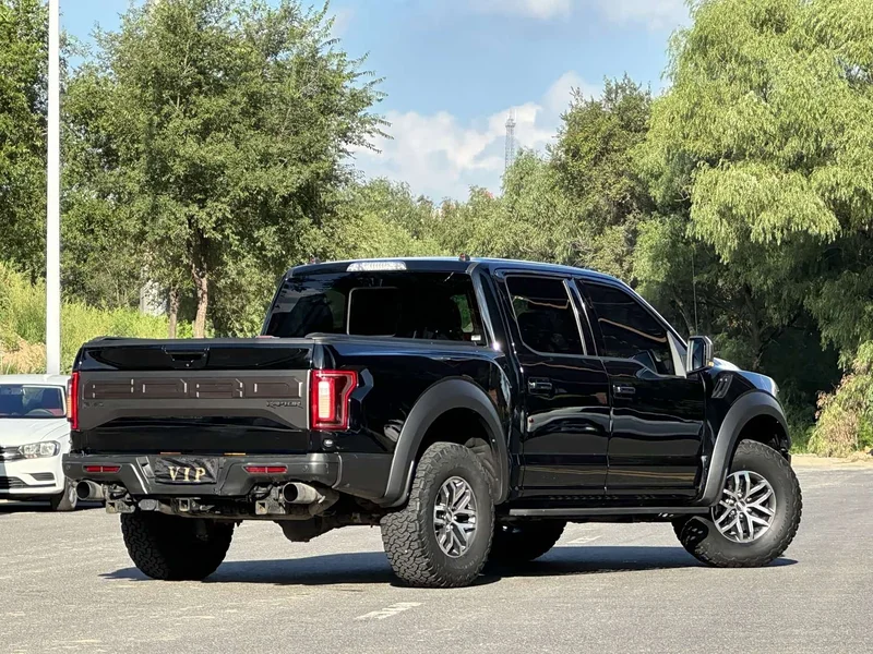 Ford F-150 Raptor — фото 6