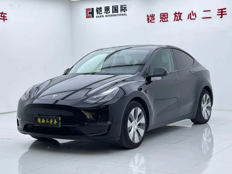 Tesla Model Y — фото 1