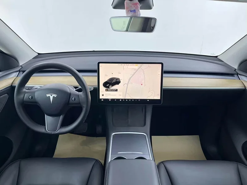 Tesla Model Y — фото 16
